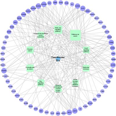 Potential pharmacological mechanisms of tanshinone IIA in the treatment of human neuroblastoma based on network pharmacological and molecular docking Technology